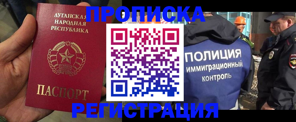 прописка поиск в Курской области